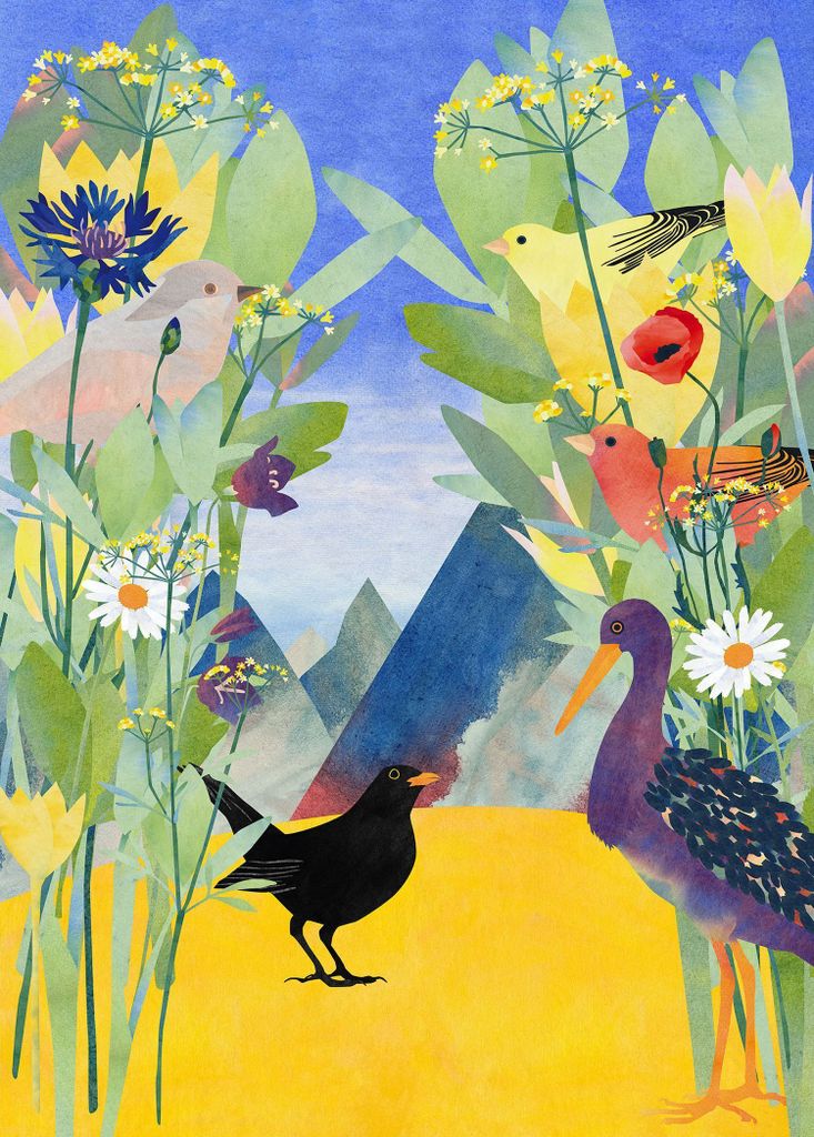 Komar Fototapete Blumen und Vögel Multicolor - 610831 - 200 x 280 cm