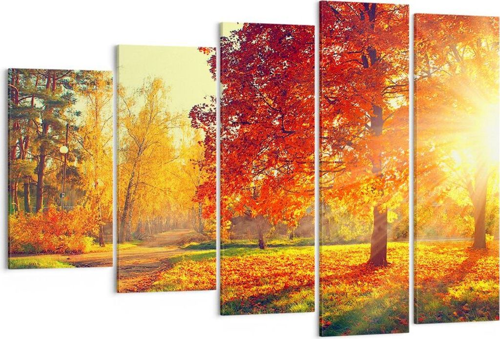 Bild auf Leinwand - Leinwandbild - Park Herbst Baum - 150x100cm - Wand Bild - Wanddeko - Leinwanddruck - Bilder - Kunstdruck - Wanddekoration - Lei...