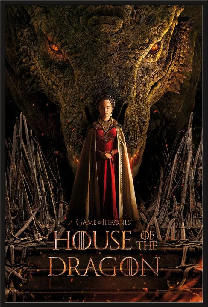 Cadre avec affiche House of the Dragon vitre acrylique Shinsuke