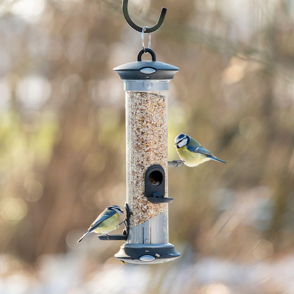 CJ Wildlife Futtersäule Vögel - Vogelfutterspender zum Produktbild 