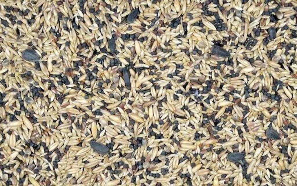10 kg krmivo pre kanáriky Zmes krmiva pre kanáriky Obrázok produktu 2