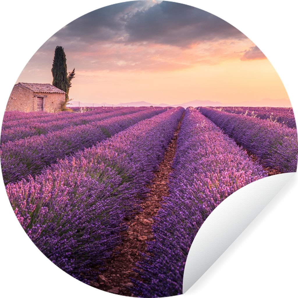 MuchoWow Runde Wandtattoo - Wandsticker Tapete Aufkleber Lavendel - Blumen - Lila - Feld Ø 80 cm Selbstklebend und Repositionierbar - Wandaufkle...