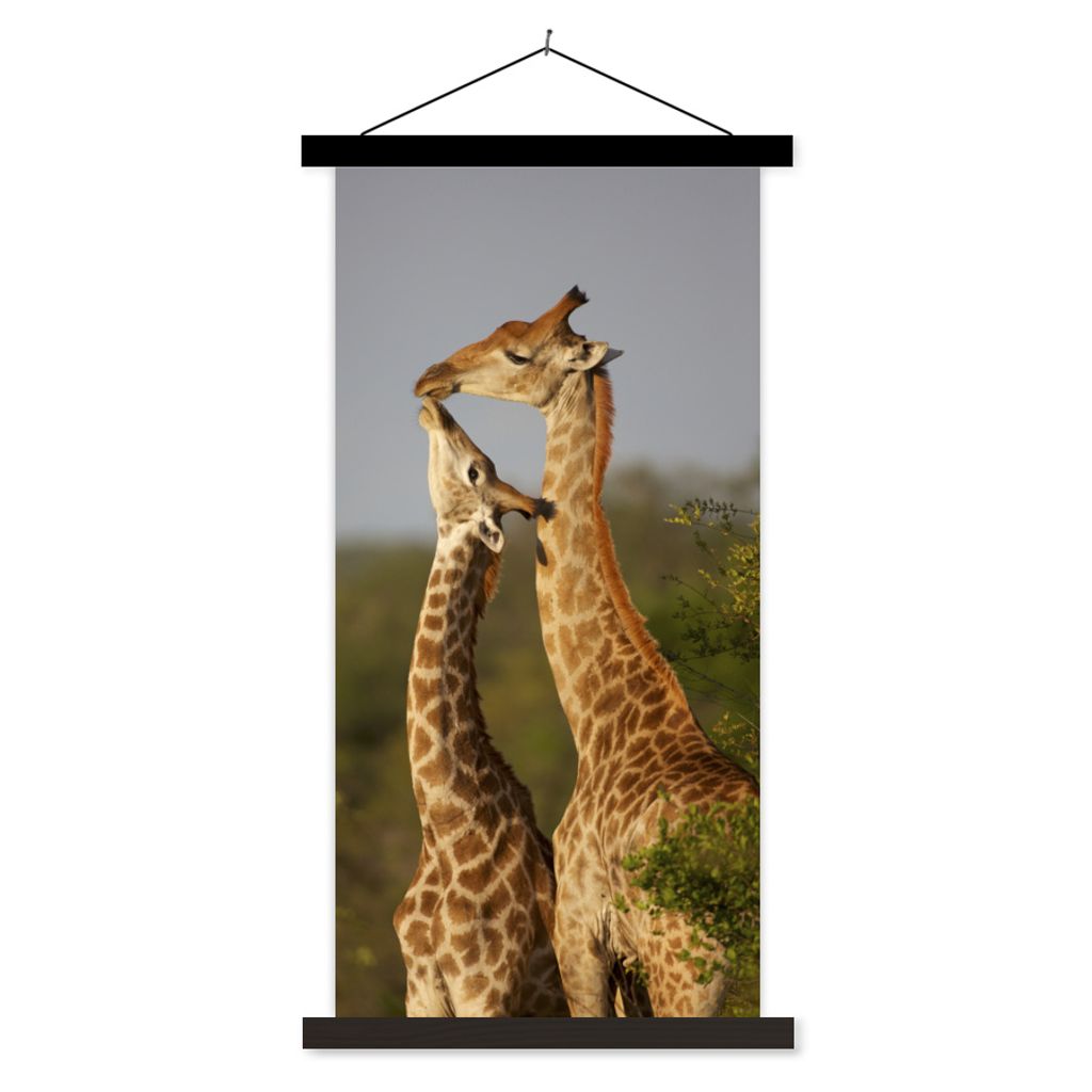 MuchoWow Textilposter Giraffe - Baum - Kalb - Porträt 90x180 cm mit schwarzem Rahmen - Dekoration Wohnzimmer