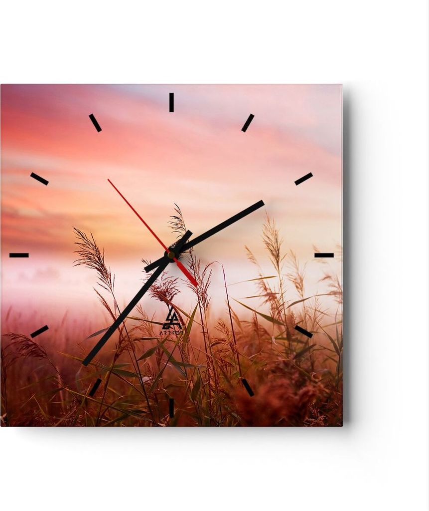 Wanduhr - Quadrat - Glasuhr - Wiese Getreide Natur - 40x40cm - Schleichendes Uhrwerk - Lautlos - zum Aufhängen bereit - Dekoration Modern - Wandde...