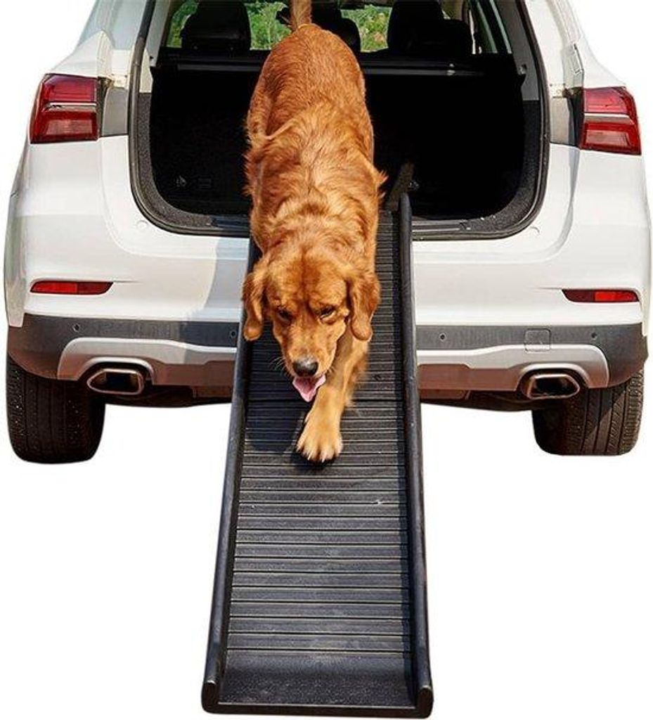 Hundehalter aus Kunststoff, 157,5 x 39,5 x 8,5 cm, mit Anti-Slip-Beschichtung, klappbar