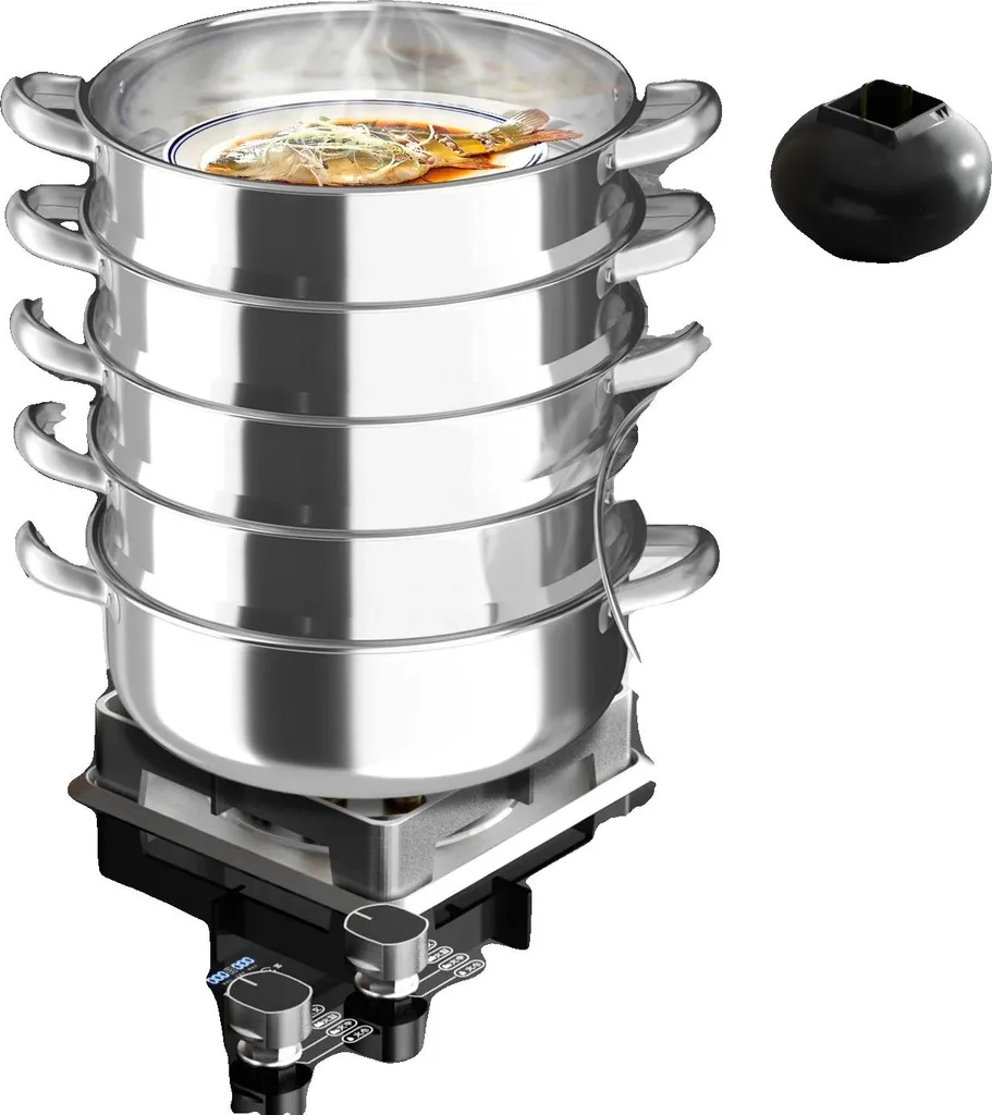 Cuiseur vapeur inox compact multi-fonctions - Finition haute qualité