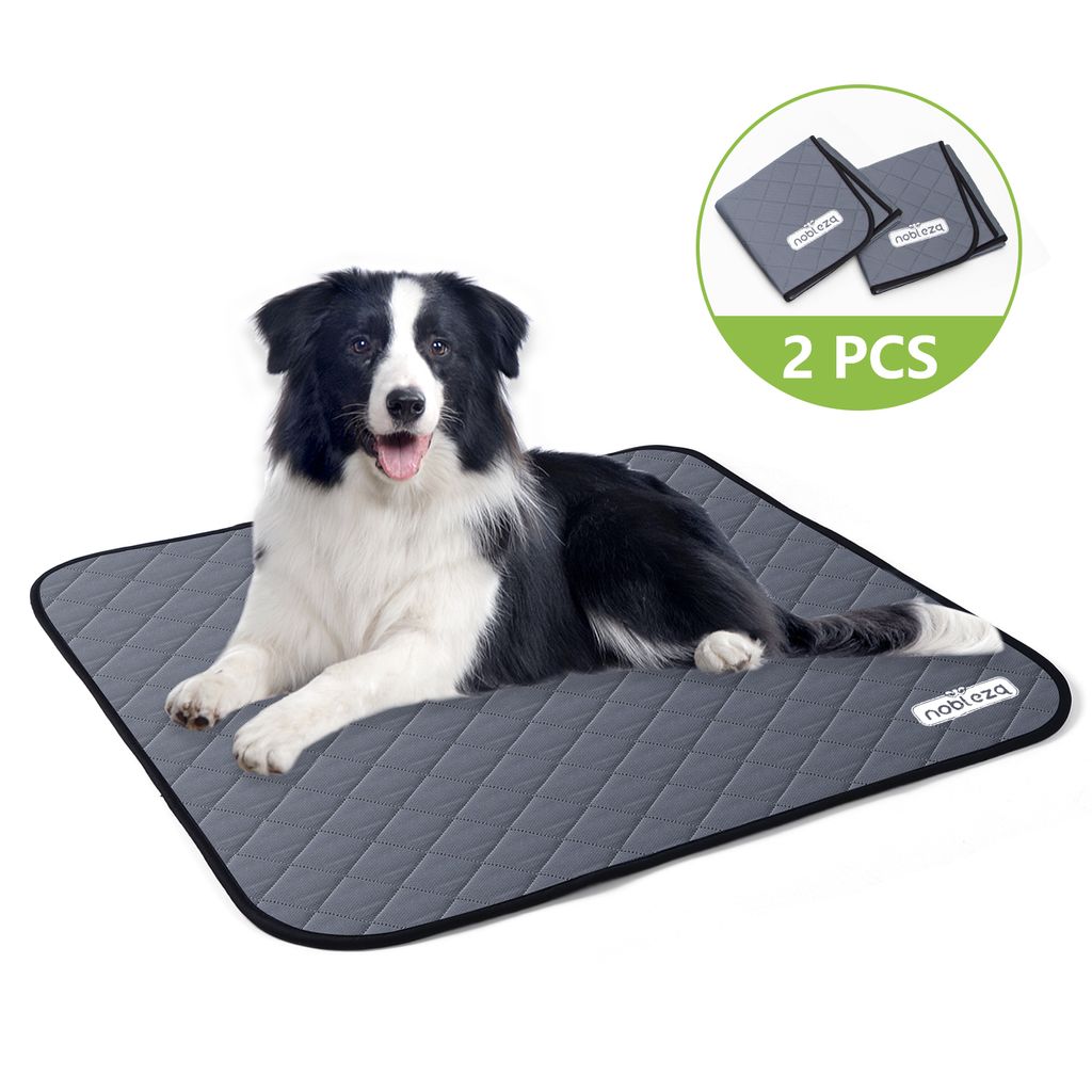 A border collie dog lying on a gray pet training pad.