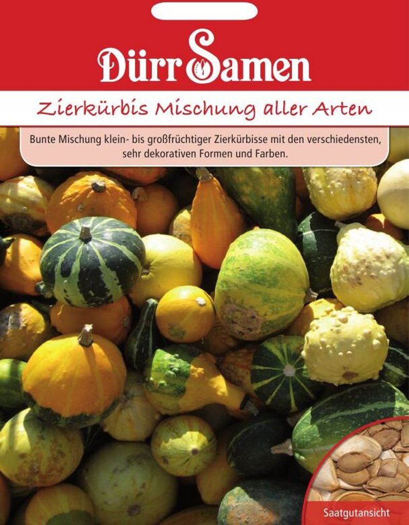 Dürr-Samen - Zierkürbis Mischung aller Arten - Saatgut - 1831