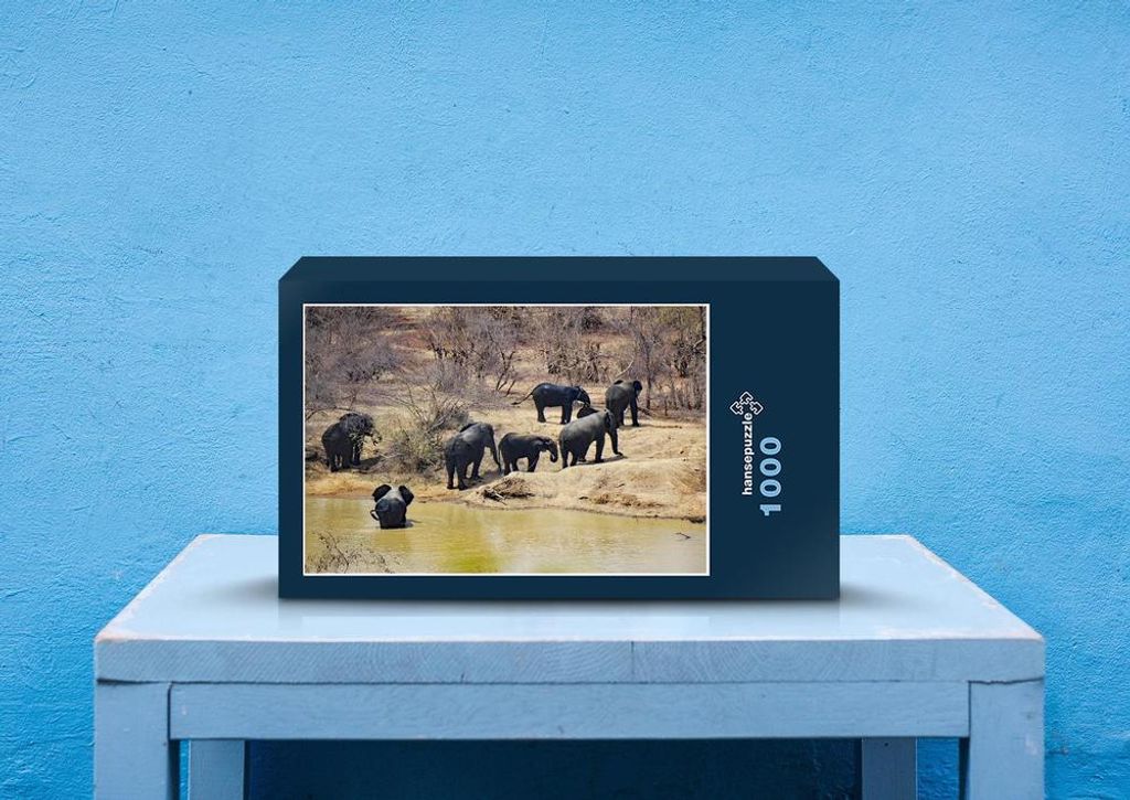hansepuzzle 86728 - Elefanten Puzzle, 1000 Teile, Tierwelt, 60,0 x 46,0cm mit hochwertiger Aufbewahrung, Kartonbox und wiederverschließbarem Beutel