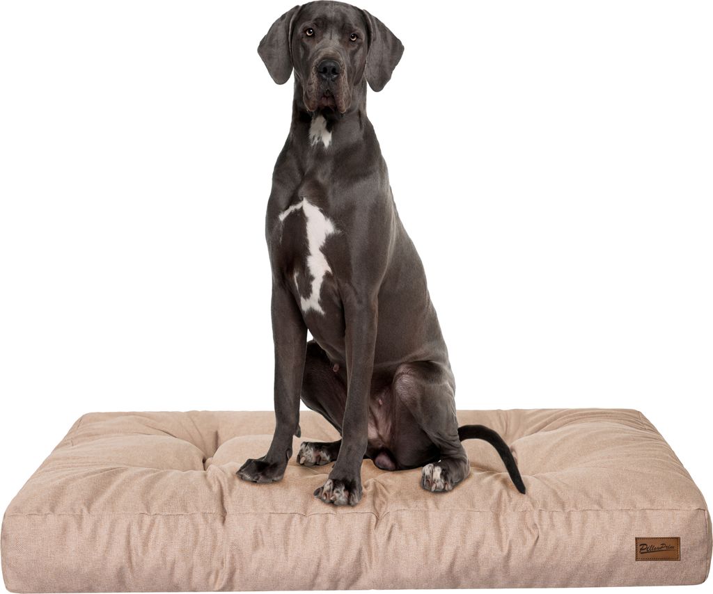 Hundematratze "Grand Light" - 130x100cm - Wasserabweisendes Hundebett – Rechteckig – Outdoor & Indoor | PillowPrim
