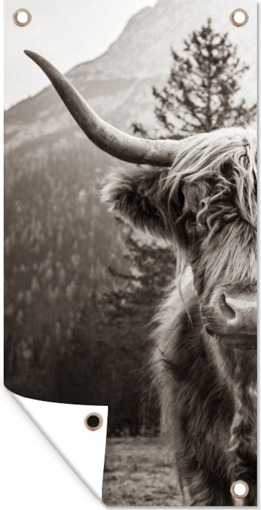 MuchoWow 80x160 cm Outdoor-Poster Gartendeko Sichtschutz Garten Poster für den Garten Scottish Highlander - Stier - Schwarz - Weiß