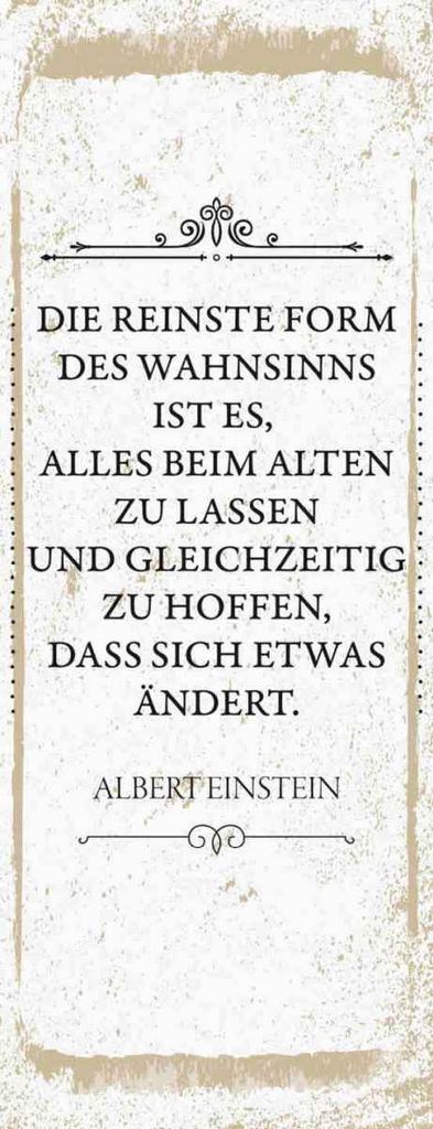 vianmo Holzschild 27x10 cm Einstein reinste Form Wahnsinns Spruch Zitat