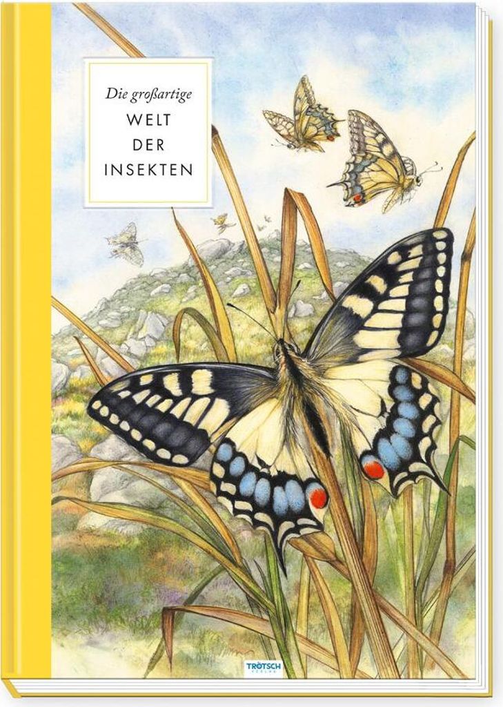 Trötsch Sachbuch Die großartige Welt der Insekten
