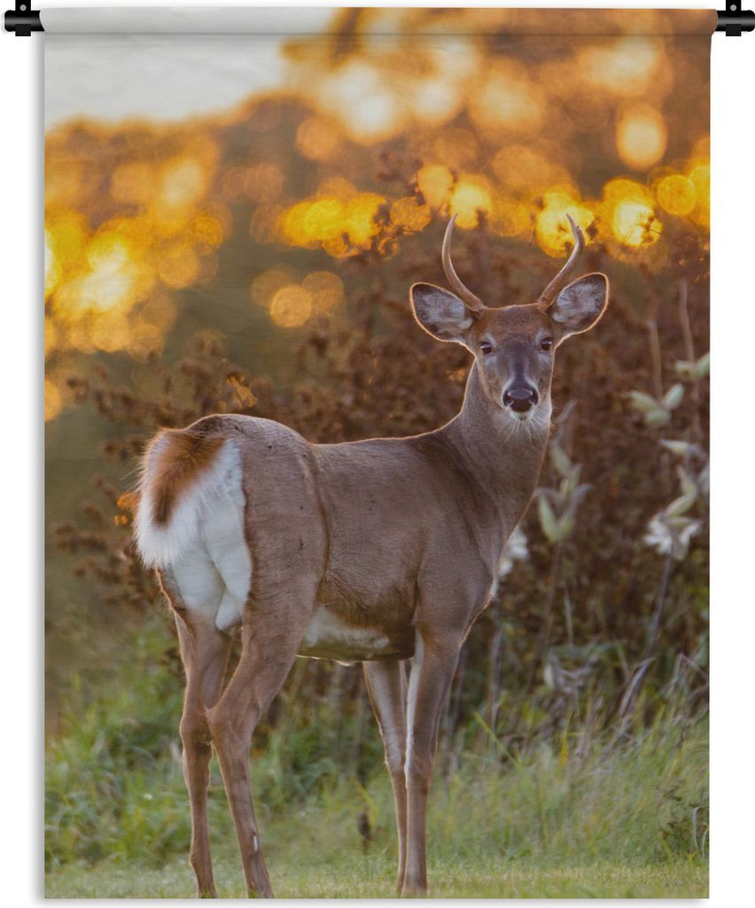 MuchoWow Wandteppich Wandbehang Hirsche - Pflanzen - Sonnenuntergang - Wildtiere - Natur 150x200 cm Tapisserie Dekoration Wandtuch - Wandaufhäng...
