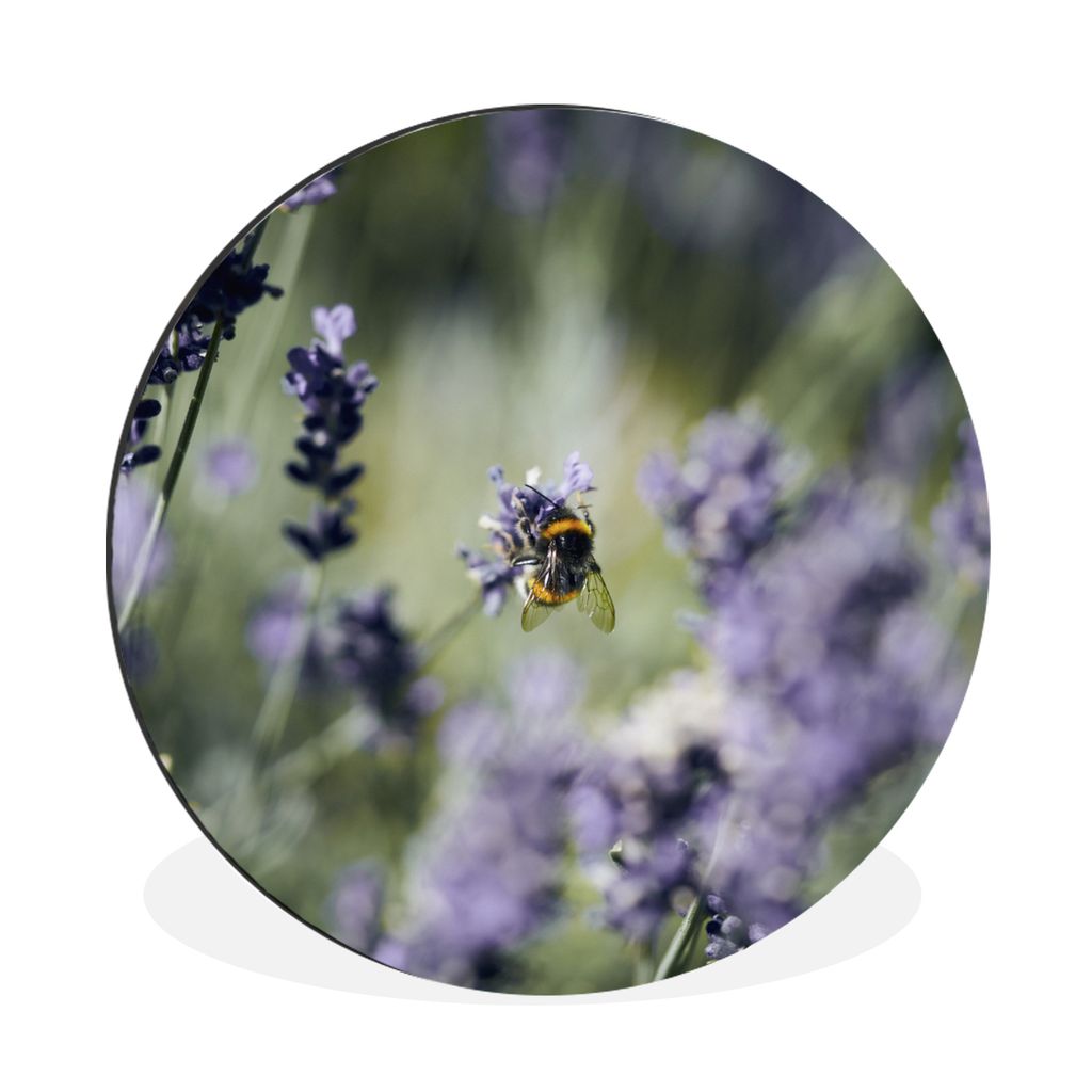 MuchoWow Aluminium Wandkreis Hummeln - Lavendel - Insekten Ø 60 cm Wanddeko Modern Wohnzimmer - Wand Kreis - Wandbild - Schlafzimmer - Aluminium...