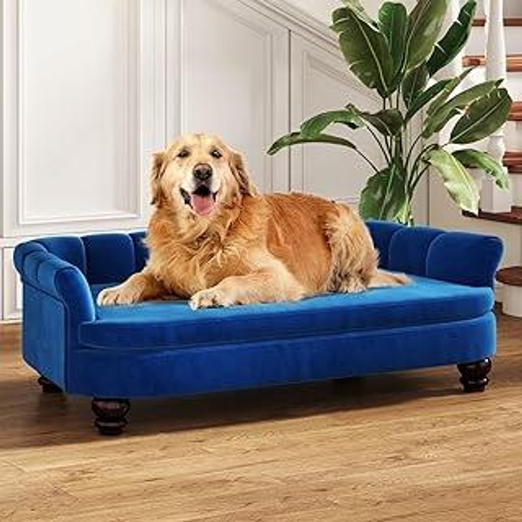 Hundesofa, bequemes Haustiersofa für große und mittelgroße Hunde, weiches Samtkissen, langlebige Hundemöbel für Wohnzimmer, waschbares Hundebe...