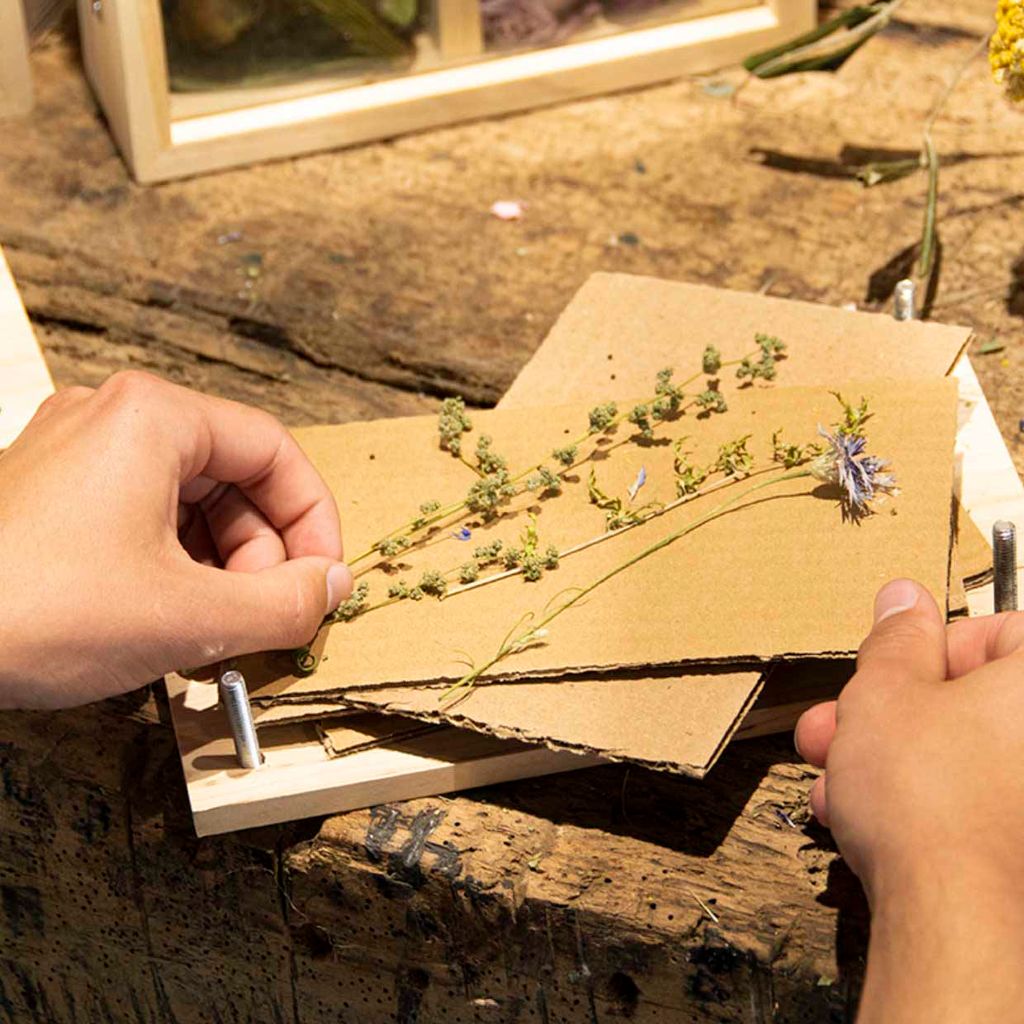 Presse à fleurs et herbes Image du produit 
