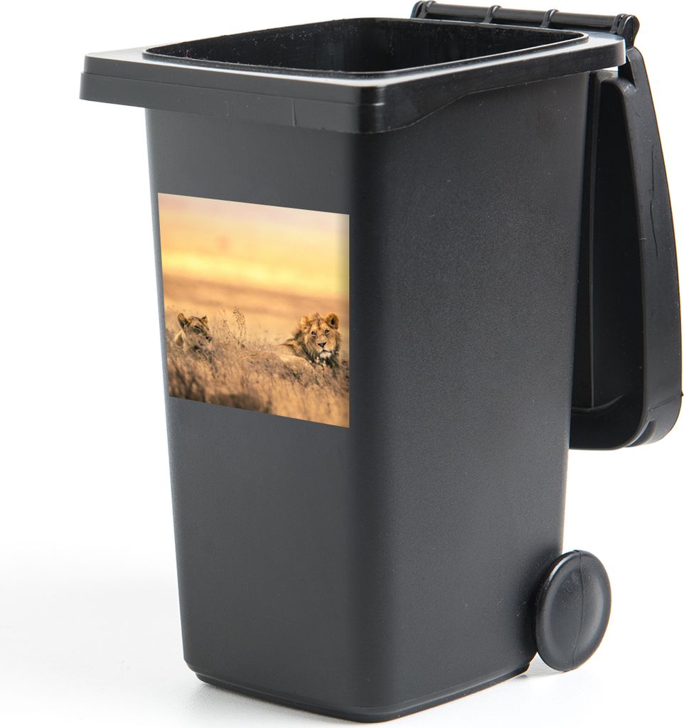 MuchoWow Mülltonnenaufkleber Löwen - Gras - Himmel 40x40 cm - Abfall-Aufkleber - Container - für Abfallcontainer