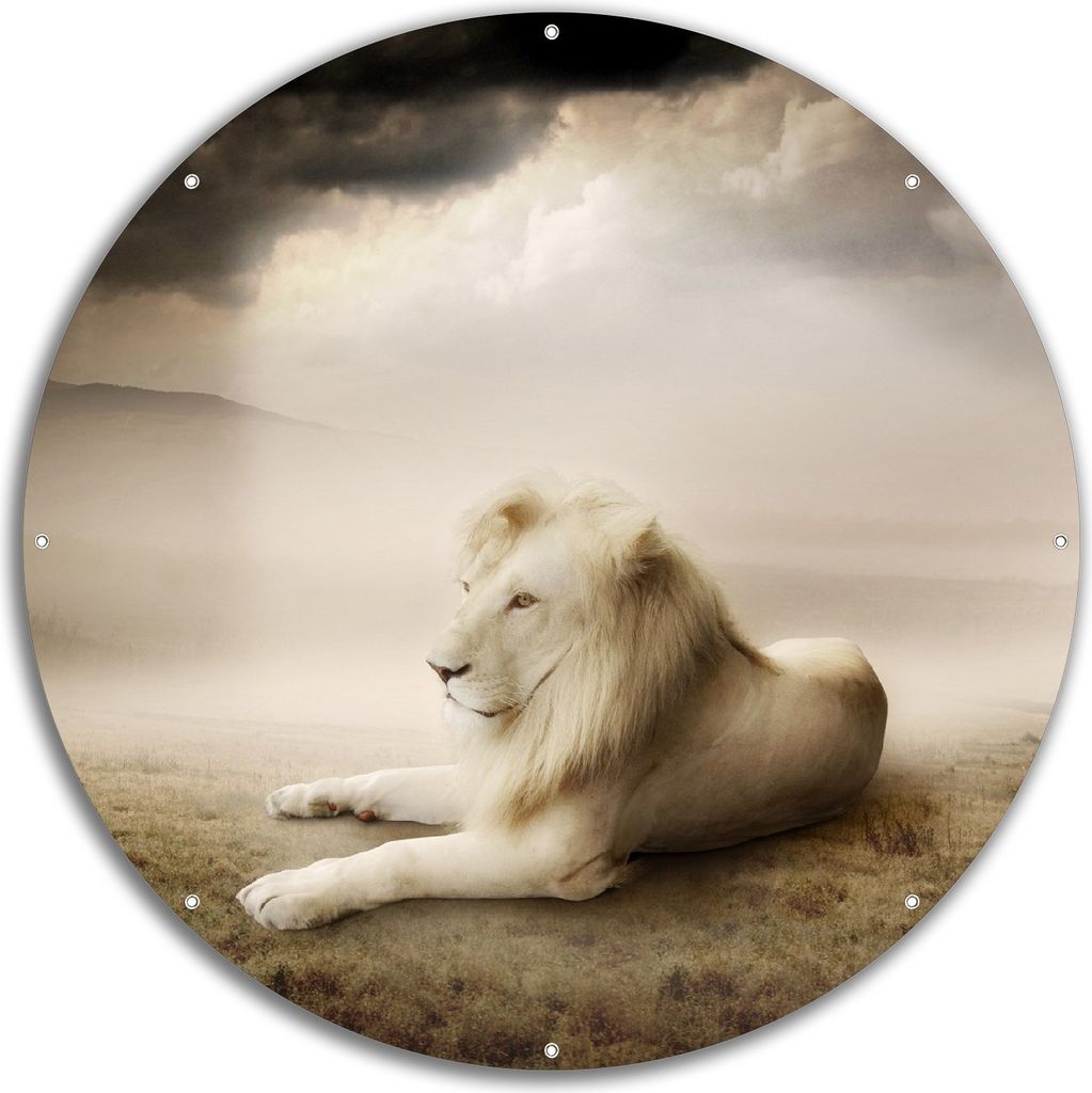 Wallario rundes Outdoor-Poster für Garten oder Balkon, Motiv Stattlicher ruhender Löwe in Afrika in Sepiafarben, 60 cm Durchmesser