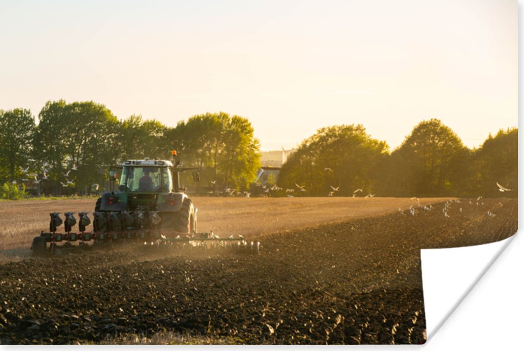 MuchoWow Poster Traktor - Vogel - Land 60x40 cm - Schlafzimmerdekoration