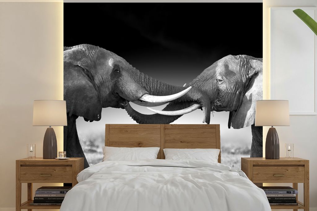 MuchoWow Fototapete für Wohnzimmer oder Schlafzimmer Wandtapete Vinyl Motivtapete Elefant - Tiere - Schwarz und weiß - Porträt - Landschaft - ...