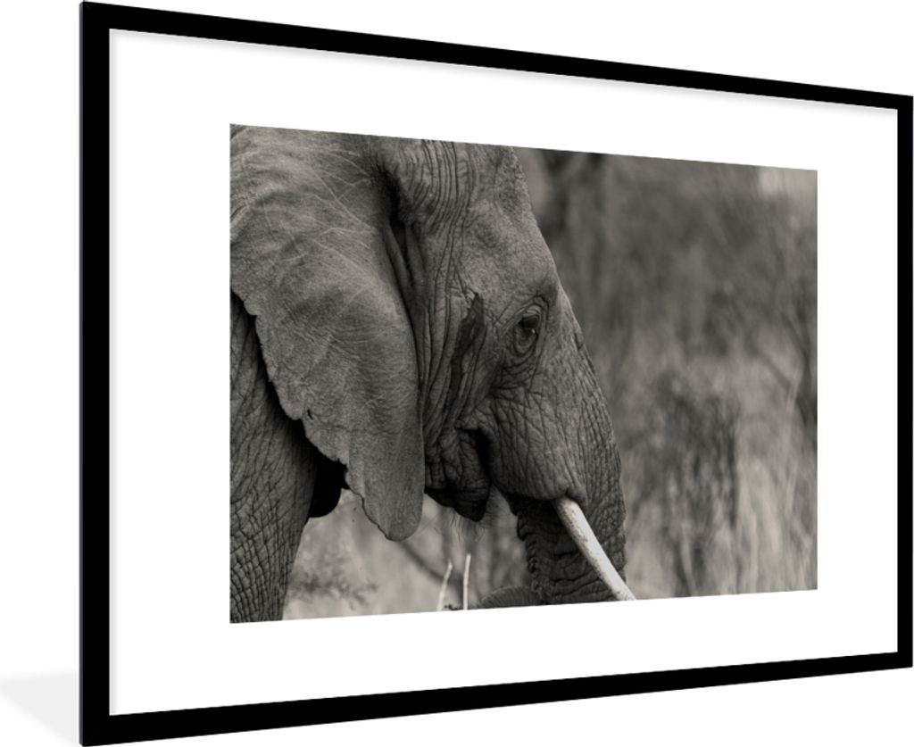 MuchoWow MuchoWow Gerahmtes Poster Elefant - Tiere - Schwarz - Weiß 90x60 cm - Poster mit zchwarzem Bilderrahmen - Wanddekoration - Fotos