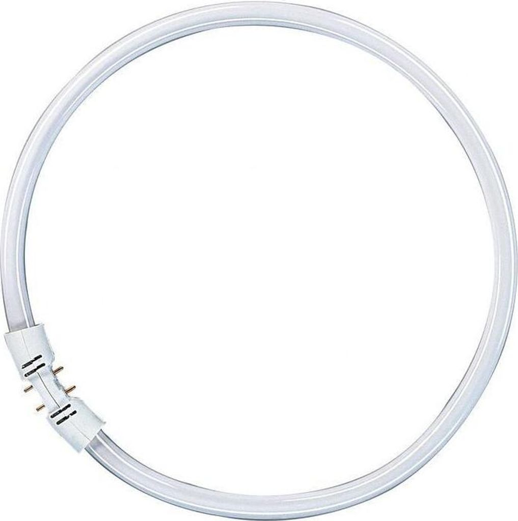 A circular fluorescent light bulb on a white background.
