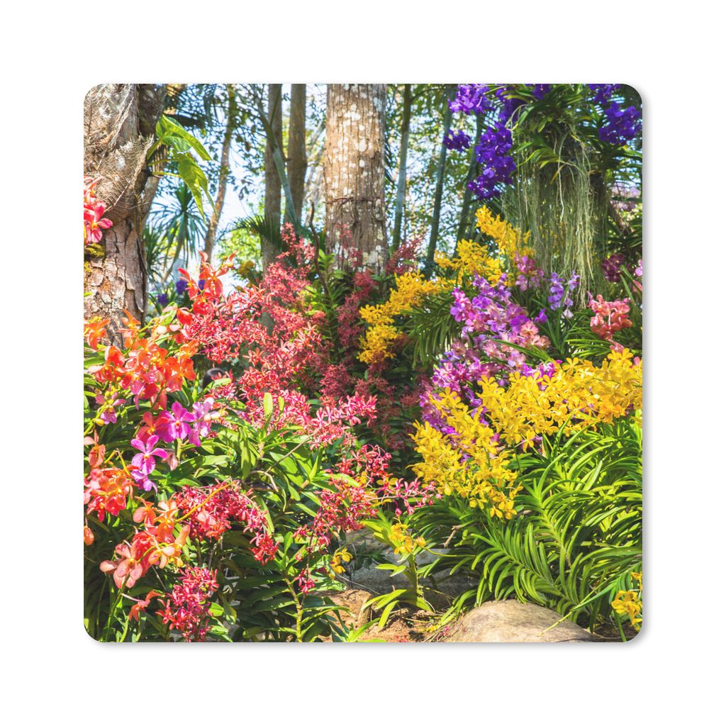 MuchoWow Mauspad Mousepad Blumen - Regenbogen - Wald - Jahreszeiten 20x20 cm - Mousepads - Maus Mat - Pad - Mausunterlage - Desk Mat - Bureauarti...