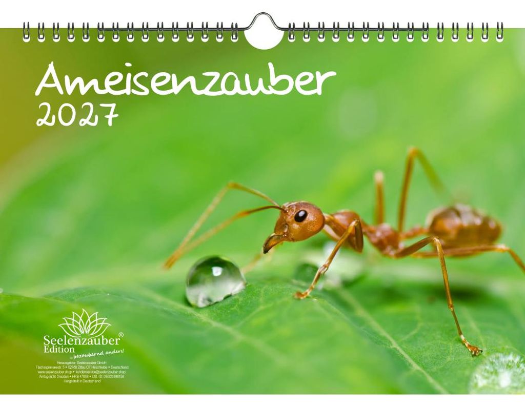 Ameisenzauber DIN A4 Kalender für 2027 Insekten - Seelenzauber