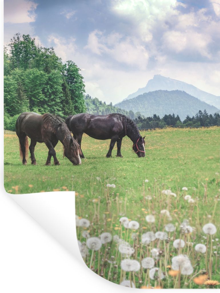 MuchoWow - Wierderverwendbar - Selbstklebend