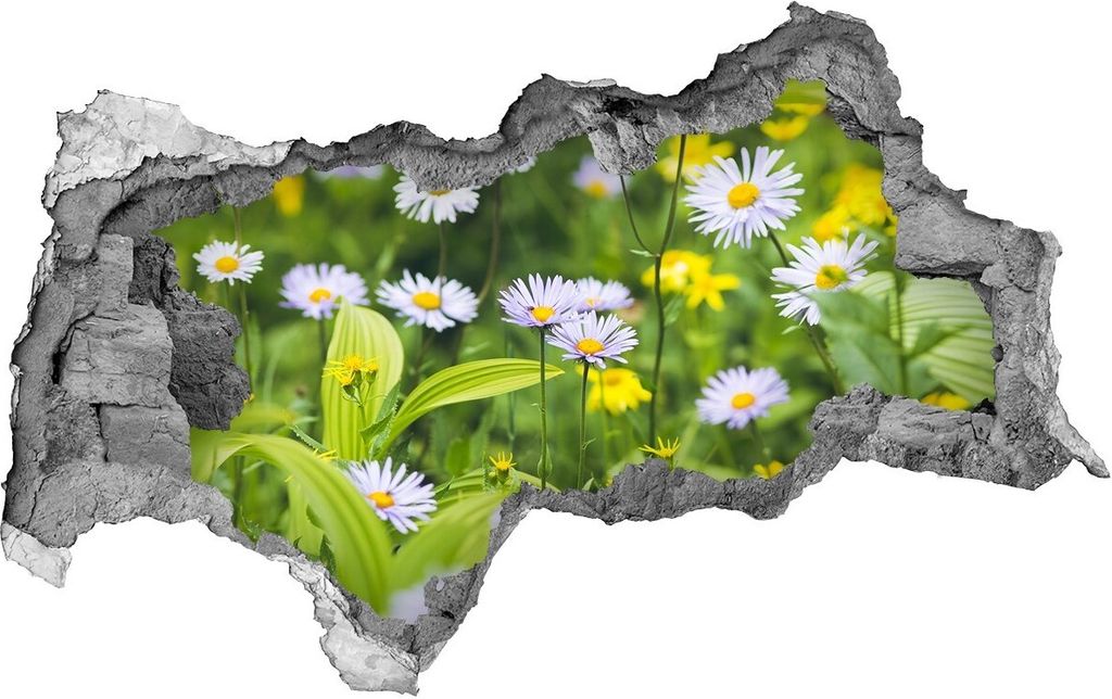 Selbstklebender Loch-3D-Aufkleber 95x73 cm Gänseblümchen
