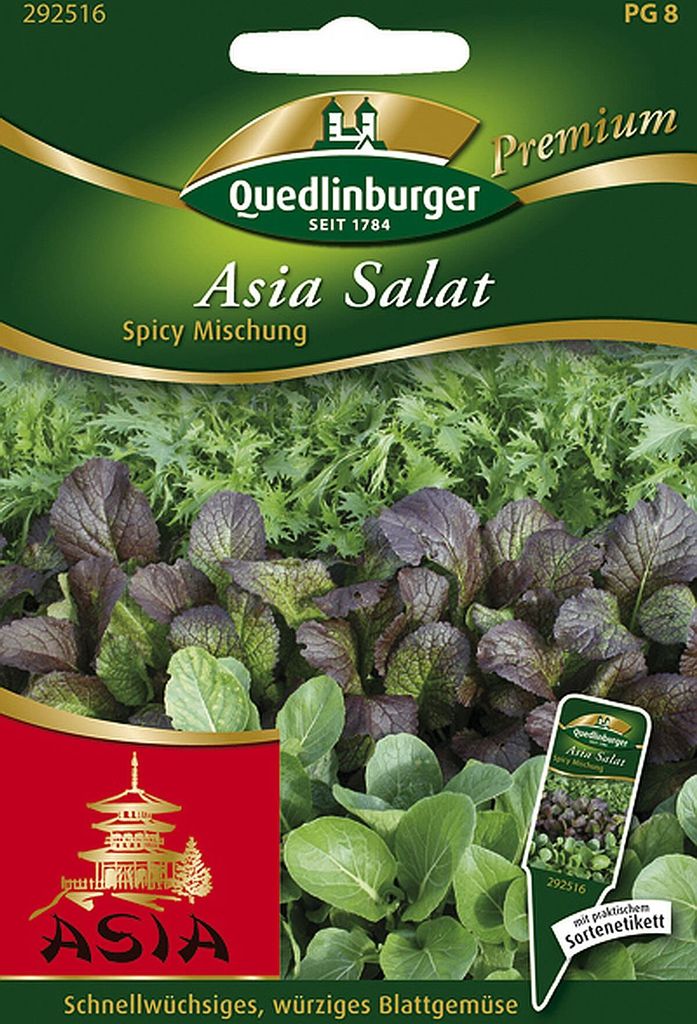 Quedlinburger Asia Salat Spicy Mischung - Premium Produktbild 