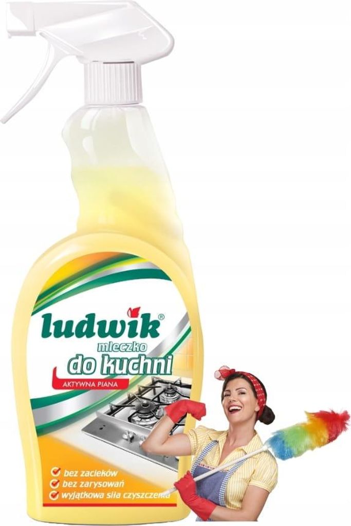 Ludwik Küchenreiniger 750 ml Aktivschaum Produktbild 