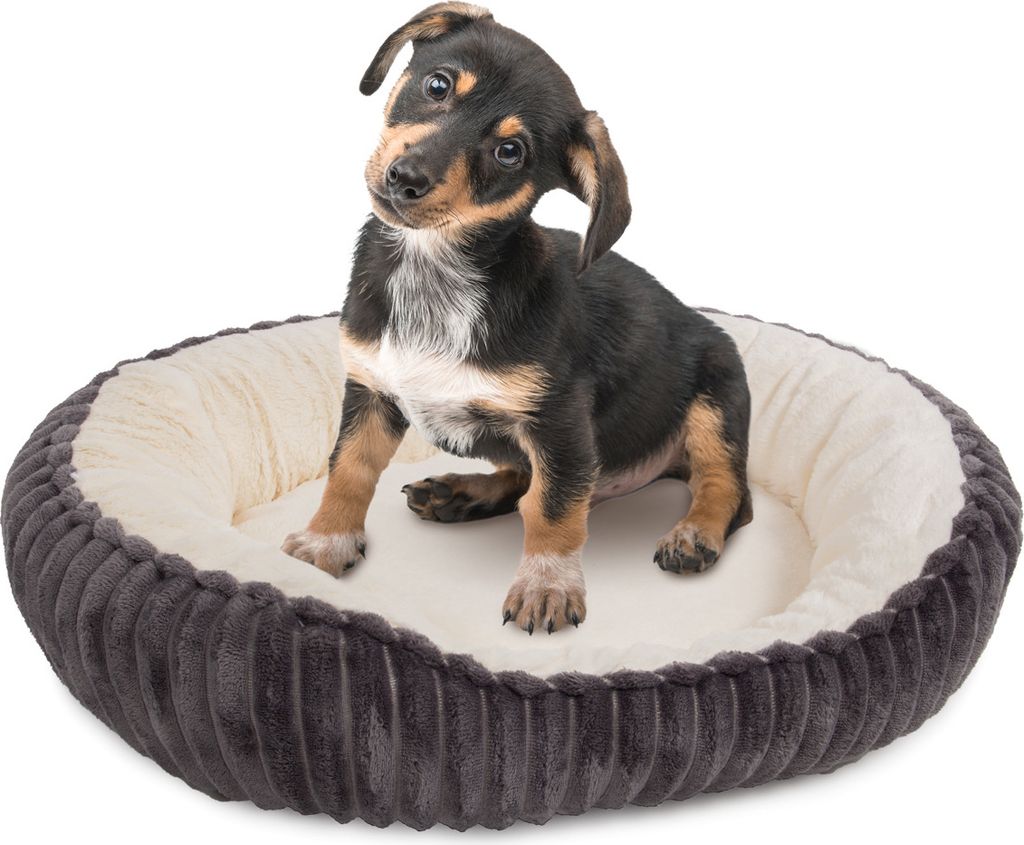 Hundebett Cameron - S - 55 x 45 x 17cm