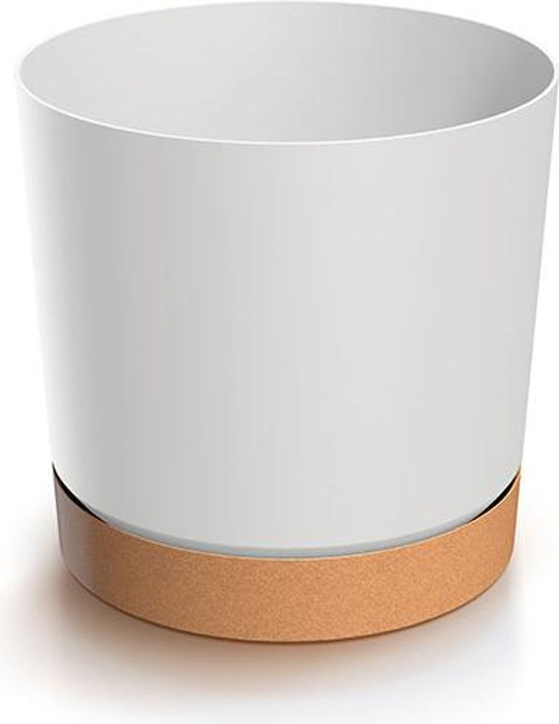 A white cylindrical plant pot with a brown base.