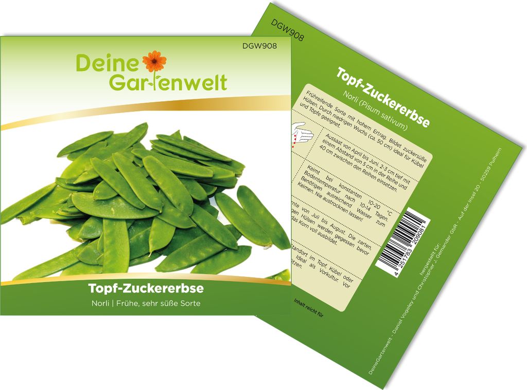 Topf-Zuckererbsen Norli Samen - Pisum sativum | Kaufland.de