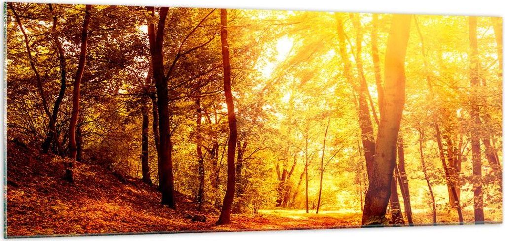 Bilder auf glas - Wald Baum Natur - 100x40cm - Glasbilder - Wandbilder - Kunstdruck - zum Aufhängen bereit - Wanddekoration aus Glas - Glas Bilder...