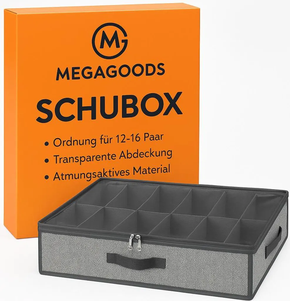 Organisateur de chaussures sous le lit pour 12 à 16 paires pliable FR