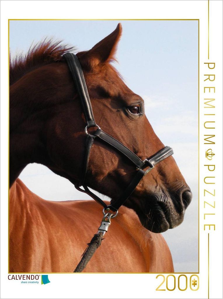 CALVENDO Puzzle Springpferd 2000 Teile Puzzle hoch | 2000 Teile Lege-Größe 90x67cm Foto-Puzzle für glückliche Stunden