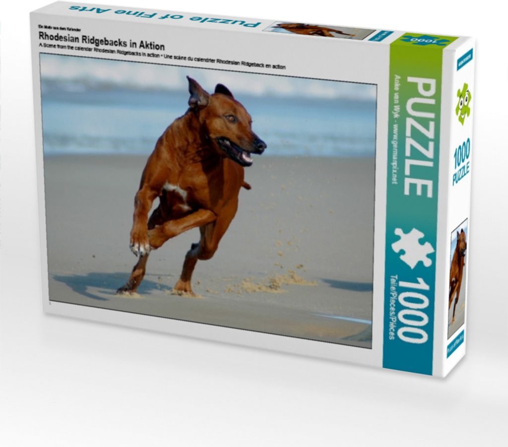 Calvendo Ein Motiv aus dem Kalender Rhodesian Ridgebacks in Aktion 1000 Teile Puzzle quer 640x480mm, van Wyk - www.germanpix.net An; 7395577