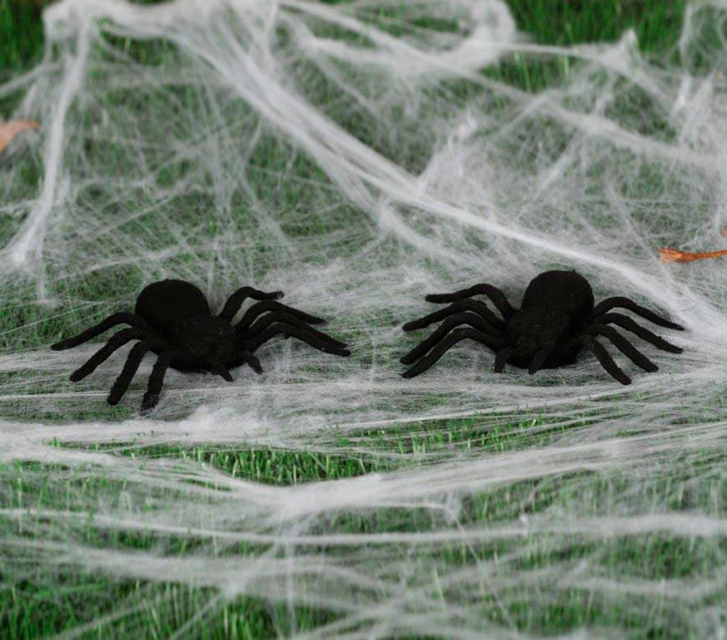 Dekorace černí pavouci - HALLOWEEN - sada 2 ks Obrázek produktu 