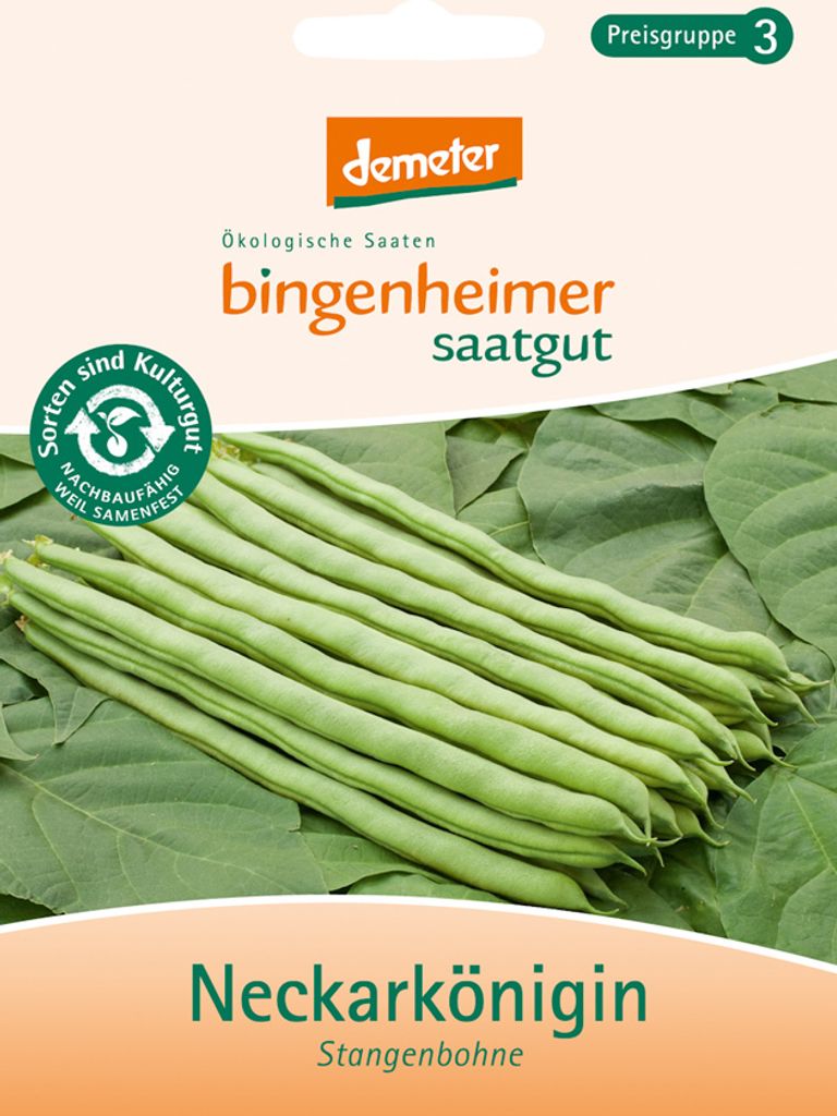 Bingenheimer Saatgut Stangenbohne Neckarkönigin 1 Stück Produktbild 