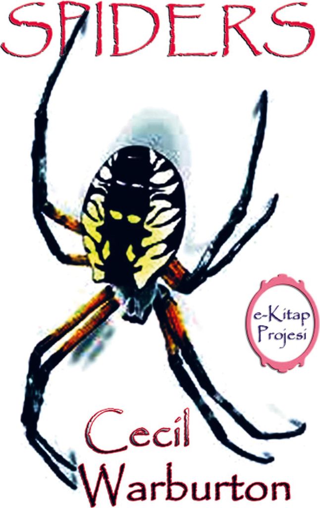 Spiders