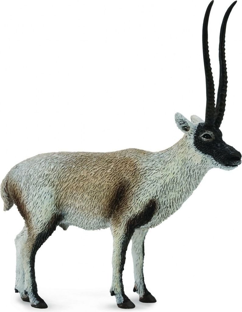 Collecta chiru - antilope 88721 87210 Image du produit 