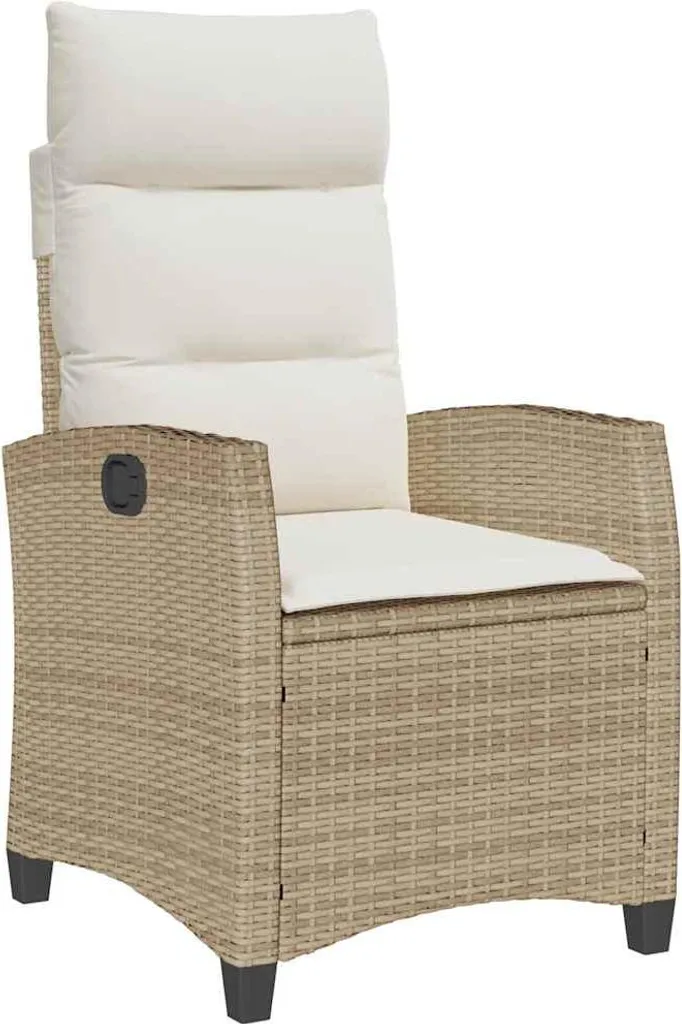 Scheda Tecnica Poltrona vidaXL Rattan Beige con Tavolino Side