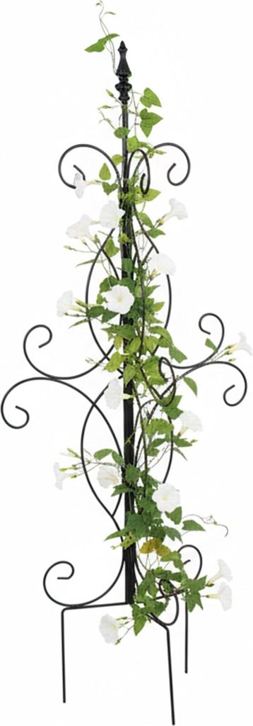 Relaxdays Supporto per rampicanti, A x L x P: 116 x 45 x 45 Immagine del prodotto 