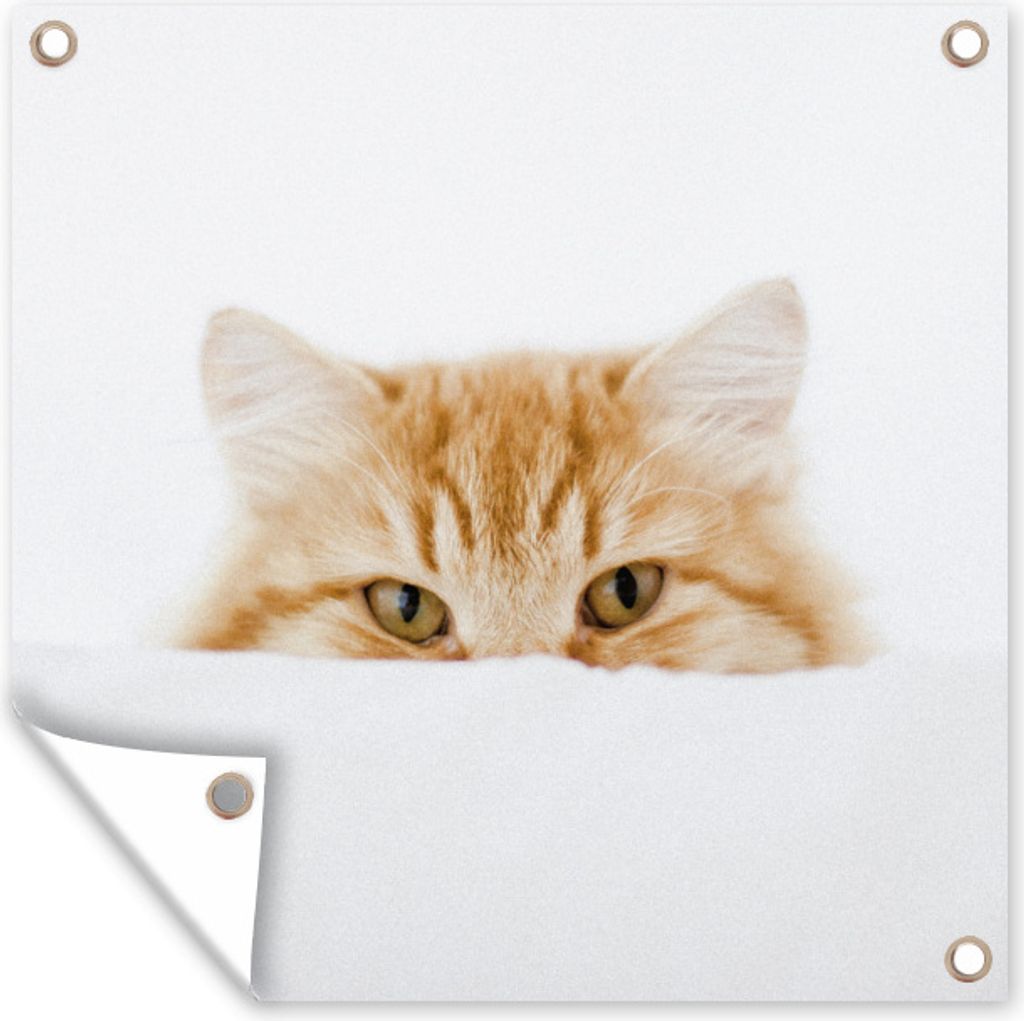 MuchoWow 50x50 cm Outdoor-Poster Gartendeko Sichtschutz Garten Poster für den Garten Katze - Rot - Weiß - Mädchen - Jungen - Kind