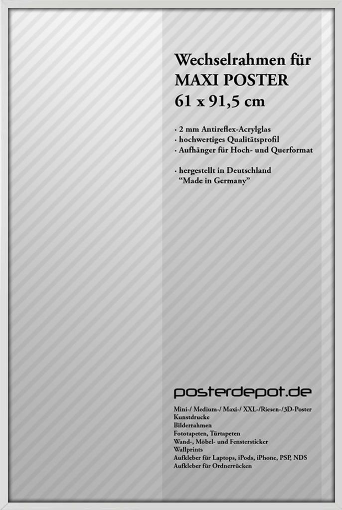 Bilderrahmen f. Maxi Poster - Größe 61 x 91,5 cm - Antireflex Acrylglas - Aluline Qualitätsrahmen