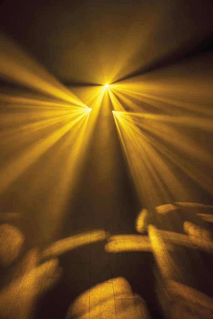 Showtec Dataflower LED Lampe à effets disco - Jeu de lumière dynamique - 4