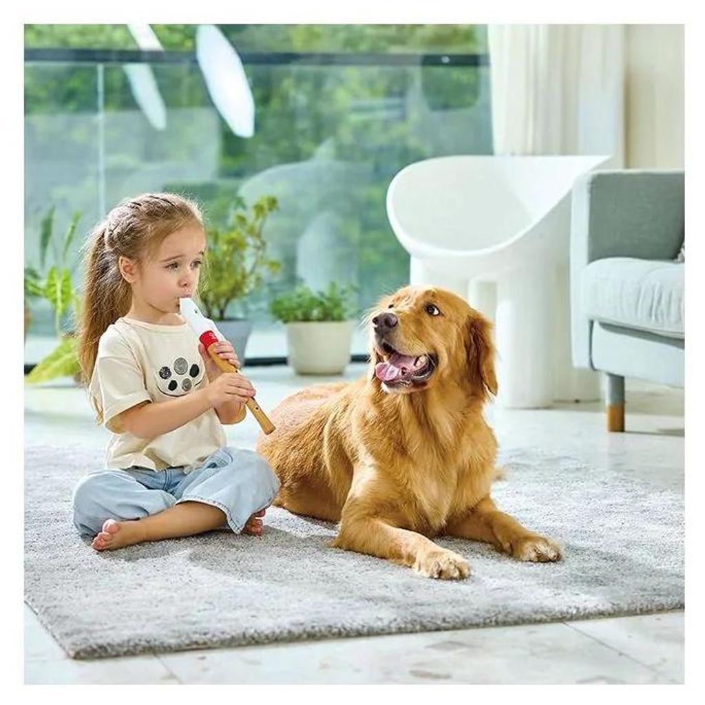 Hape Blockflöte für Musikbeginner, Recorder für Produktbild 